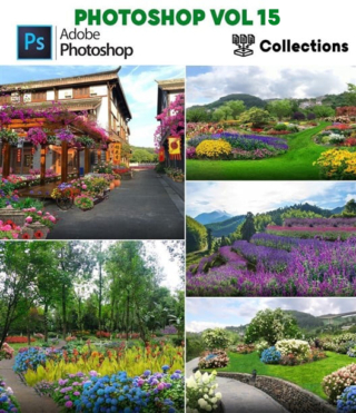 CG074 – PHOTOSHOP VOL.15