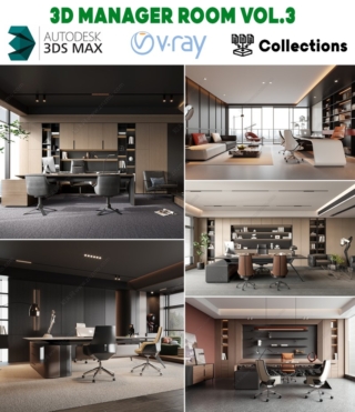 3D0127 – 3D MANAGER ROOM VOL.3