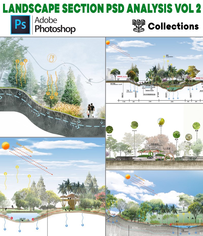 phân tích mặt cắt cảnh quan PSD Photoshop